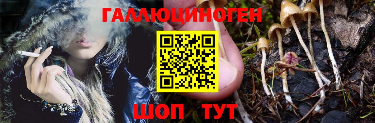 Малоярославец  Псилоцибиновые грибы мухоморы  Вход с VPN 