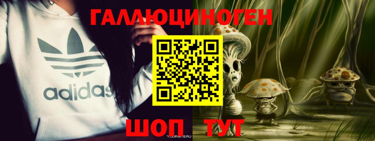 Псилоцибиновые грибы прущие грибы Малоярославец